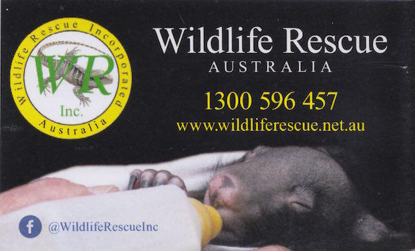 Wildlife Rescue Inc