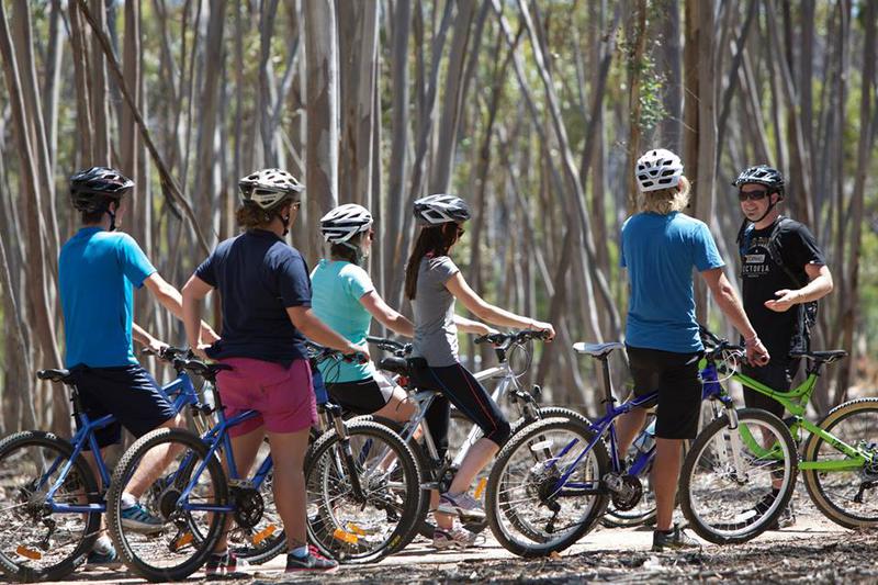 MTB Adventures