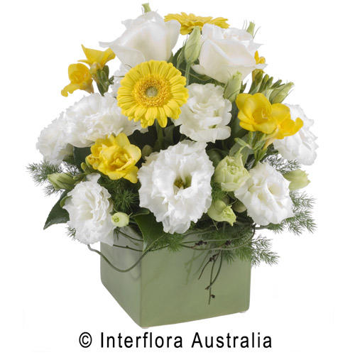 Salamander Village Florist
