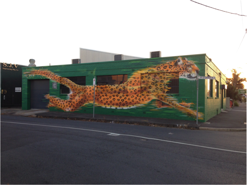 Urban Leopard