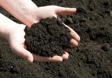 Gold Coast Gravel Supplies