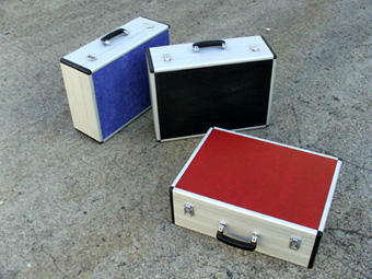 Raptor Case