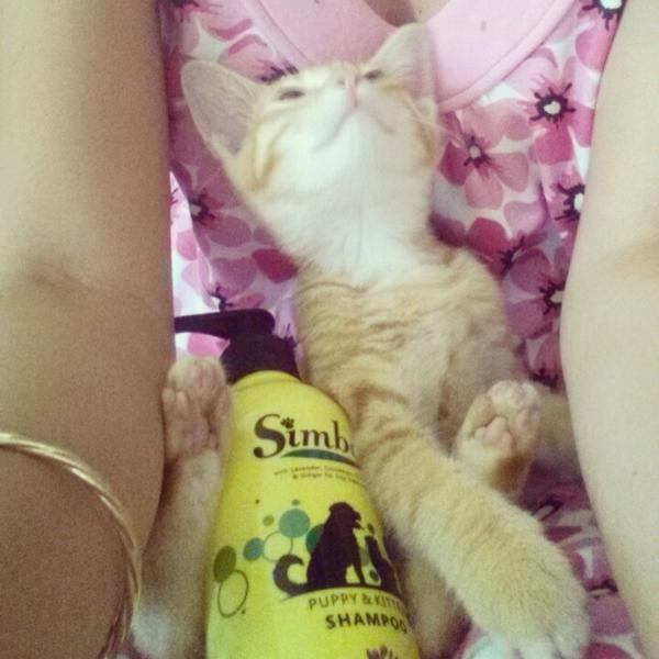 Simbae