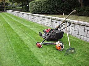 Kiwi Property Maintenance