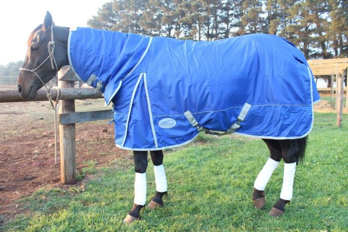 Tuff Horse Rugs