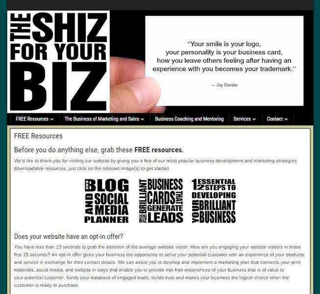 The Shiz For Your Biz