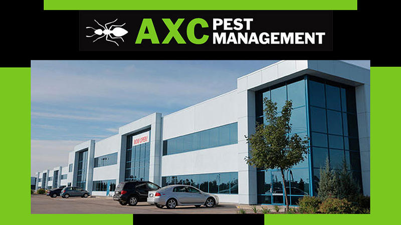 AXC Pest Management: Banora Point