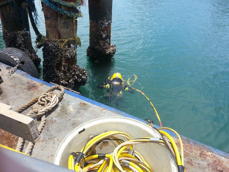 Commercial Marine Group