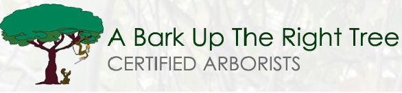 A Bark Up The Right Tree logo