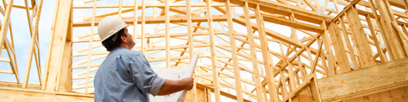 Ultimate Building and Pest Inspections