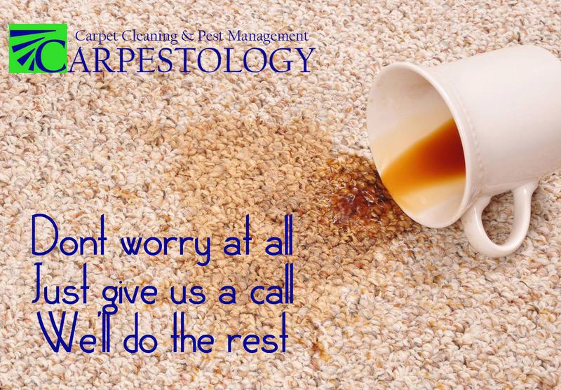 Carpestology
