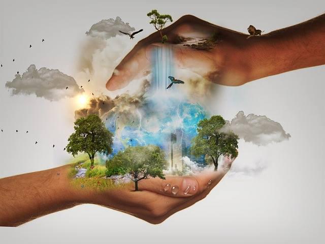The Biochar Revolution