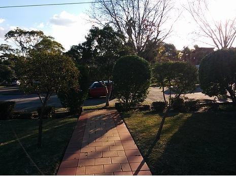 V & M Gardening
