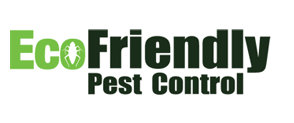 Ecofriendly Pest Control: Greenway St