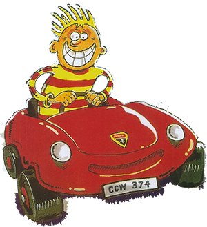 Y Not Rent A Car