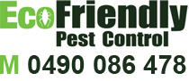 Ecofriendly Pest Control: Bulwer St