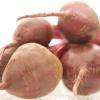 RBS Organics