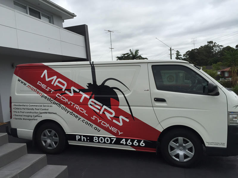 Masters Pest Control Sydney: Gordon