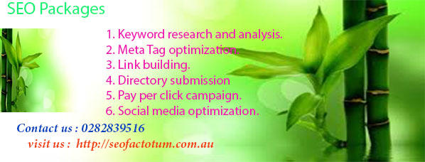 SEO Factotum