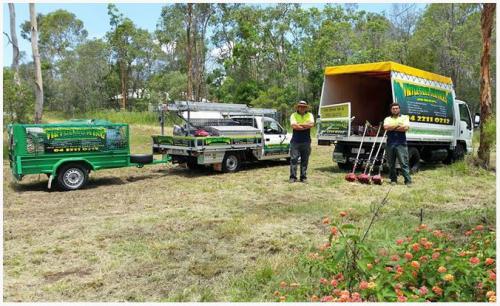 Virtue Tree Services & Mowing