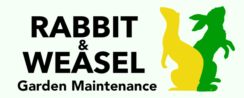 Rabbit and Weasel Garden Maintenance