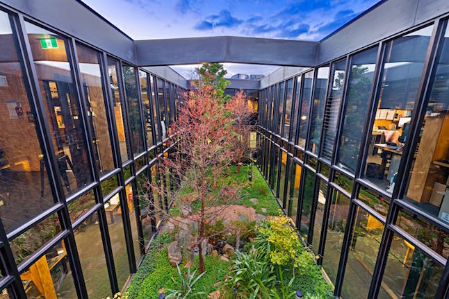 The Commons