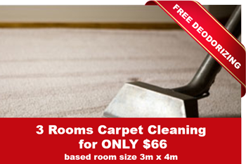 Carpet Cleaning & Handyman Services