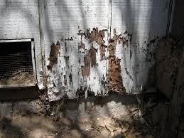 Termite Control Sydney City
