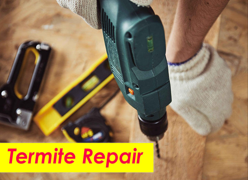 Termite Repair Guru