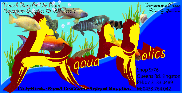 Aquaholics