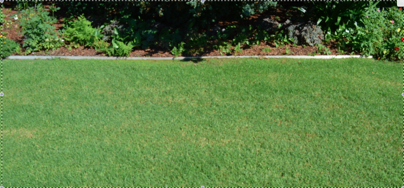 Advanced Home & Garden Services