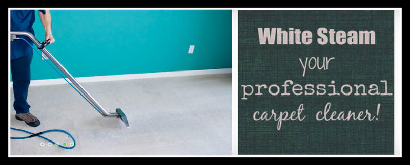 White Steam Carpet Cleaning