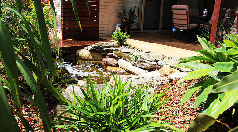 Ecolibrium Landscapes