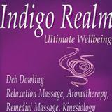 Indigo Realm logo
