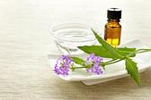 LM Natural Health