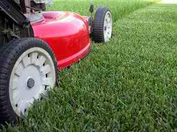 Banyule Garden Maintenance
