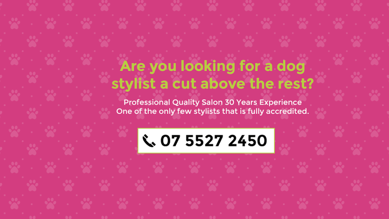 Topknotch Dogs Salon