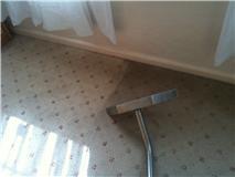 Carpet Care Steam Cleaning Services