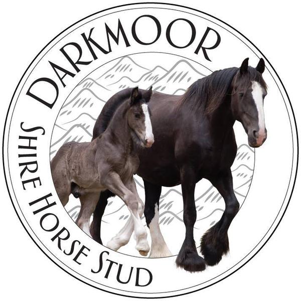 Darkmoor Shire Horse Stud