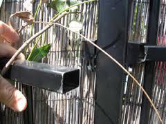 Safe Yard Fencing