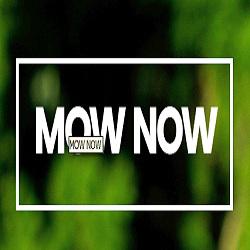 Mow Now