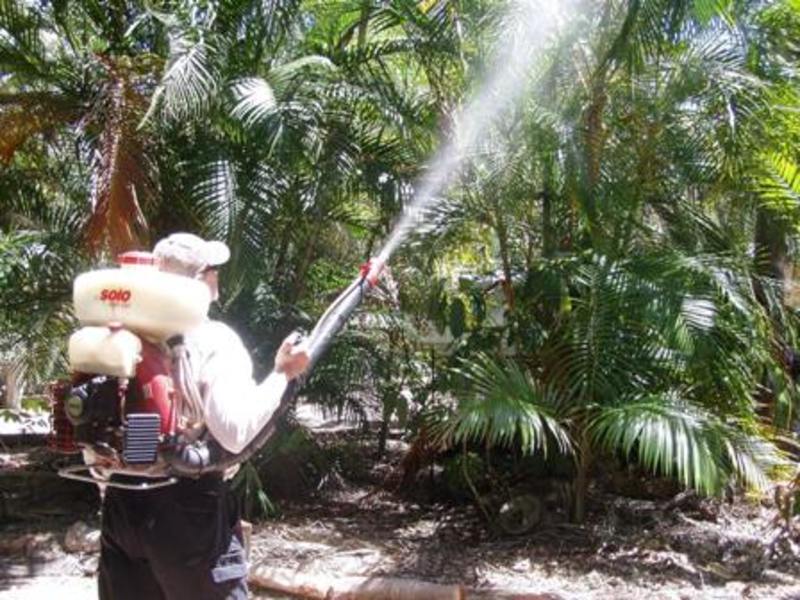Northern Mosquito Management