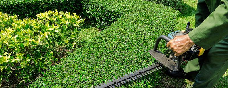 Greencare Essentials