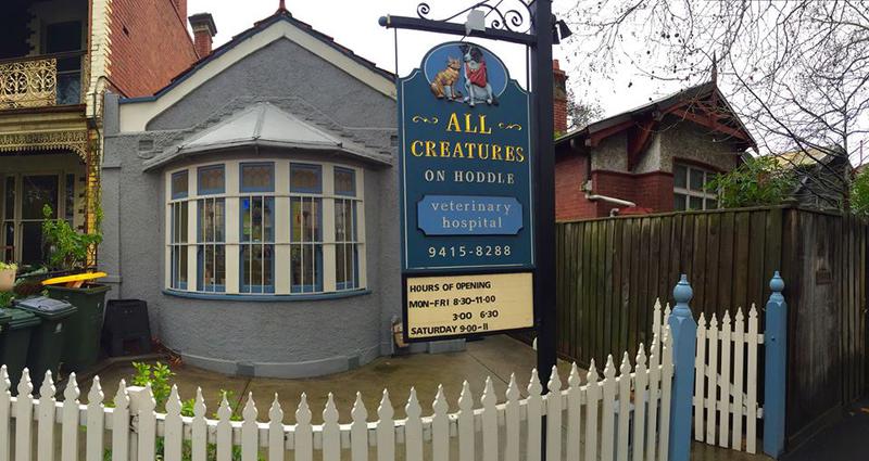 All Creatures On Hoddle