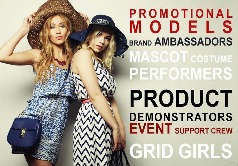 AMS Promotions