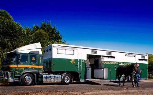 Goldners Horse Transport