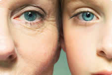 Sydney Institute of Plastic Surgery: Dee Why