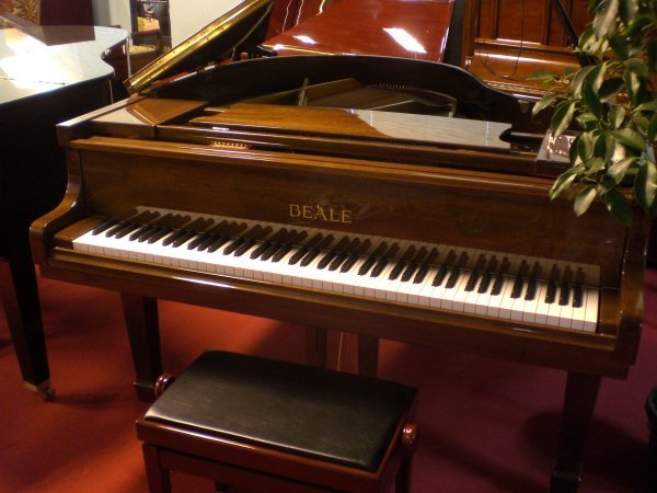 Collaroy Piano Company