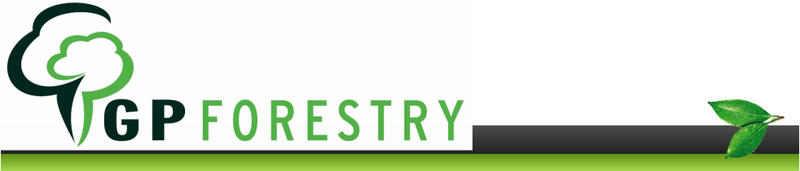 Induction & Training Services