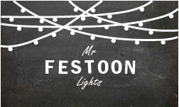 Mr Festoon Lights logo